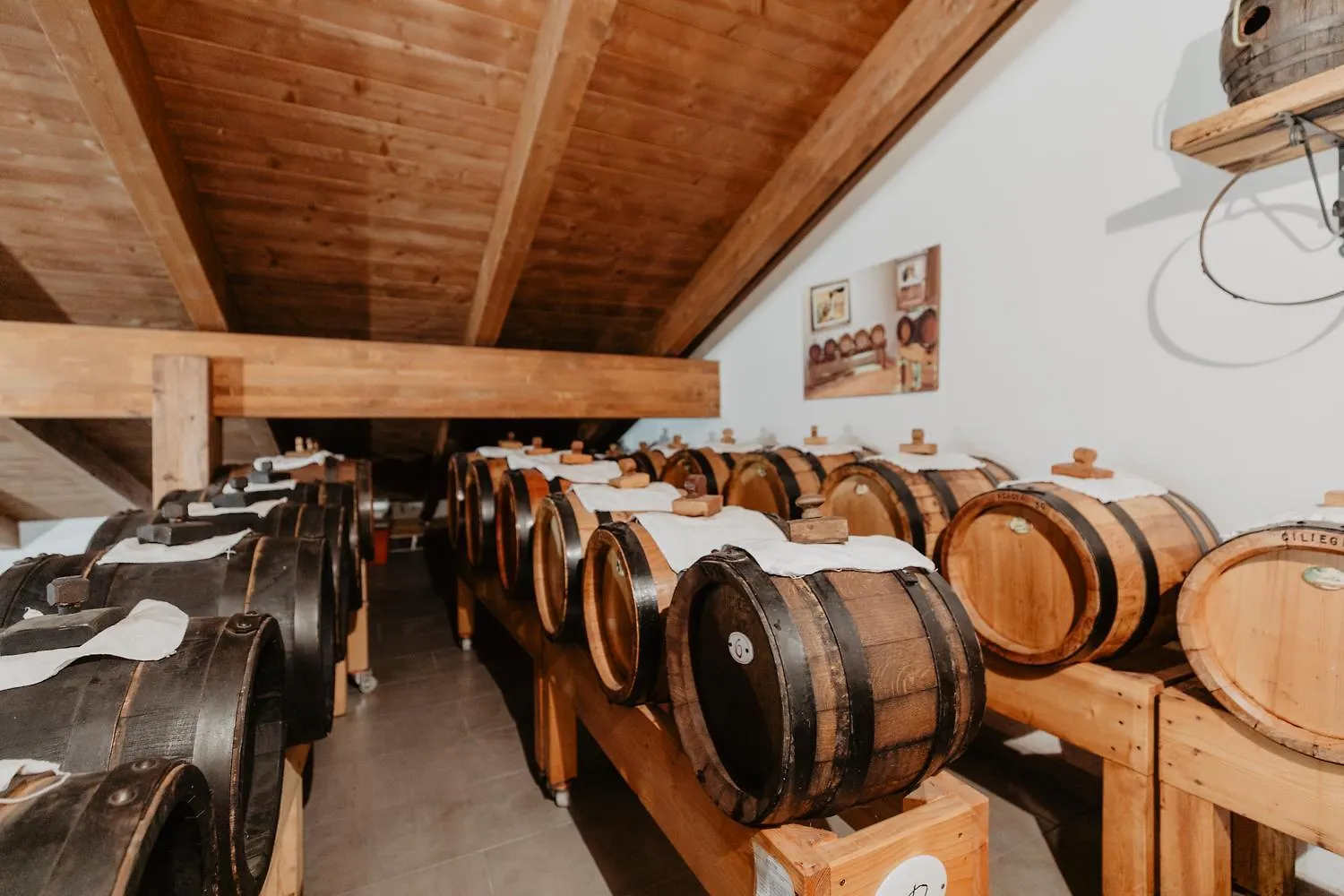 Saranto, Maison Du Charme - La Tua Oasi In Emilia Carpi Affittacamere
