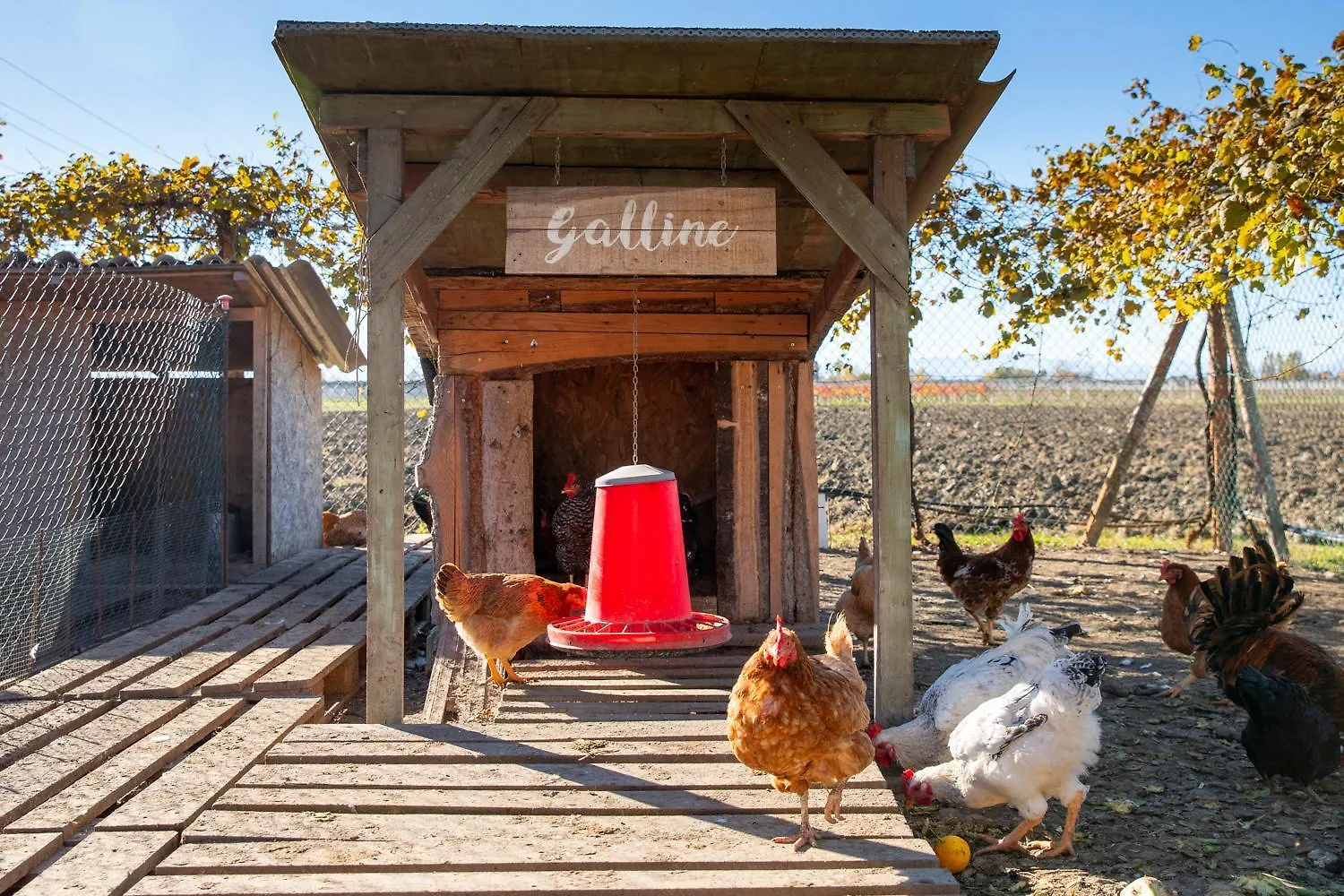 Affittacamere Saranto, Maison Du Charme - La Tua Oasi In Emilia Carpi